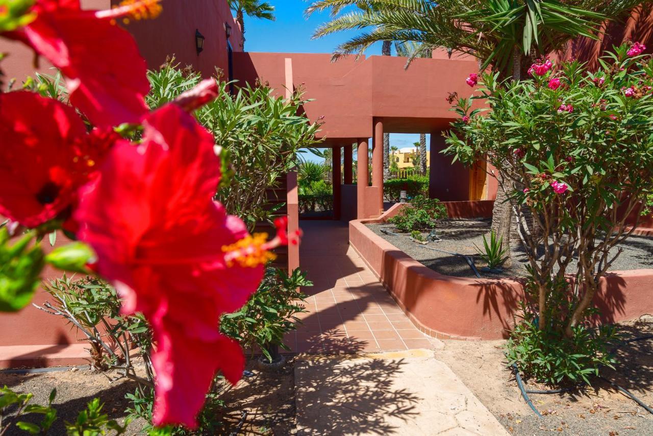 La Rosa Dei Venti Apartment Corralejo Luaran gambar